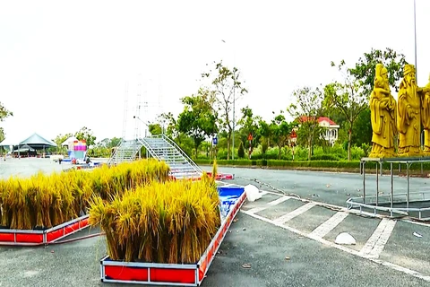 Fifth Vietnam Rice Festival underway in Vinh Long