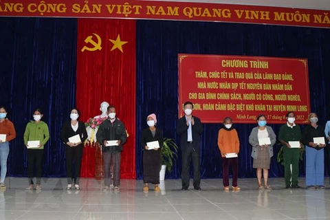 Party official pays pre-Tet visit to Quang Ngai 