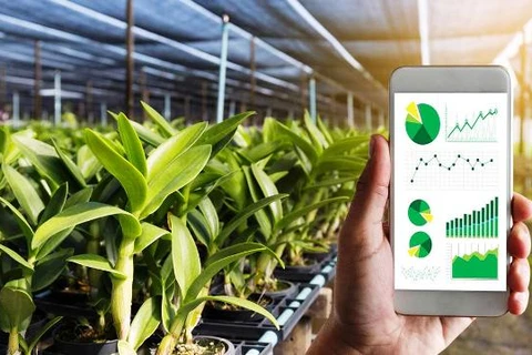 Digital transformation - way out for agricultural sector amid difficulties