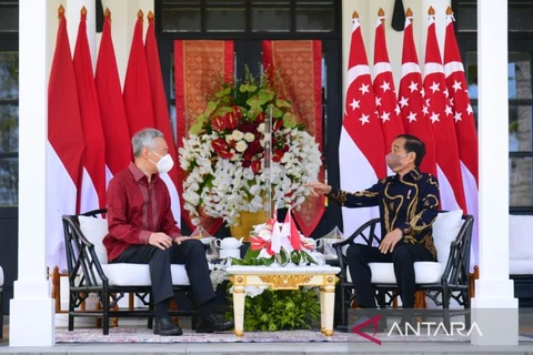 Singapore, Indonesia boost cooperation in post-pandemic recovery