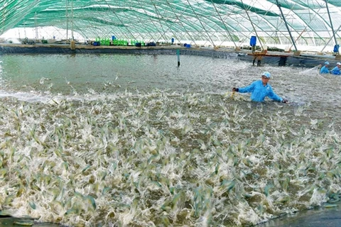 Vietnam plans modern and sustainable fisheries industry