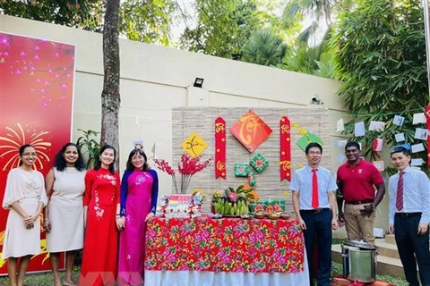 More Tet celebrations held among Vietnamese expats worldwide