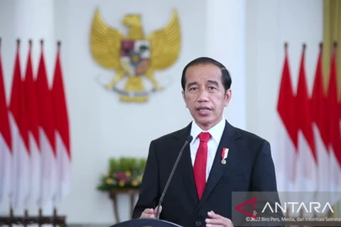 Indonesia to spotlight importance of blue economy, blue carbon during G20 presidency