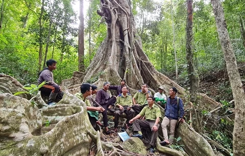 Relentless efforts to protect Kon Ha Nung biosphere reserve