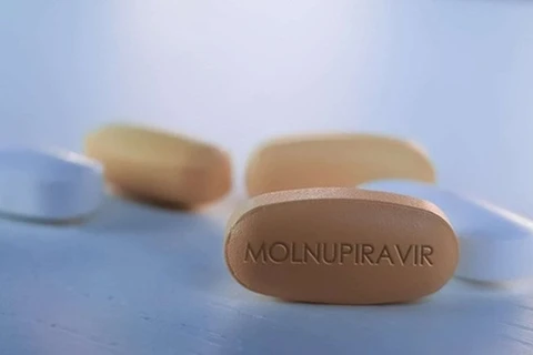 Ministry licences three domestically-produced Molnupiravir drugs to treat COVID-19