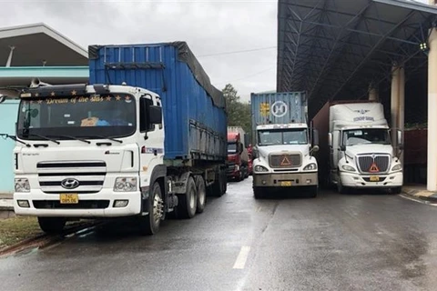 Quang Tri: Imports, exports via international border gates soar