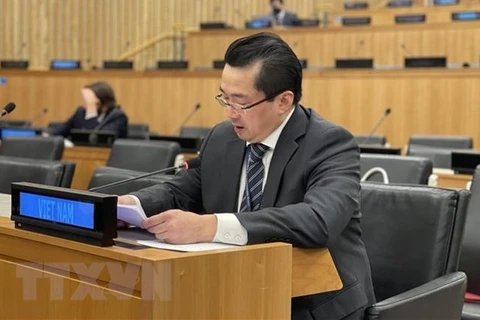 UN Charter important basis for int’l community’s actions: Vietnamese Ambassador