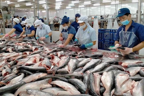 An Giang official suggests building trademark for Mekong Delta catfish
