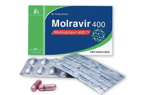 Ministry of Health publicises prices of Molnupiravir drugs produced in Vietnam