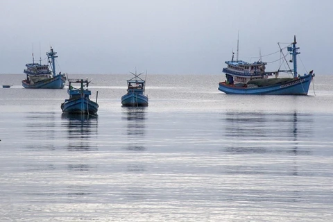 Ben Tre targets no ships infringing foreign waters while fishing