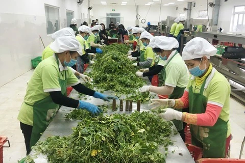Vietnam to focus on small agricultural processing businesses