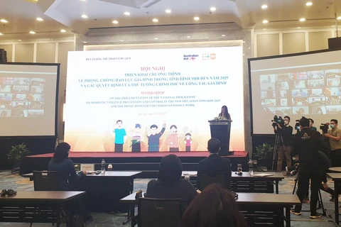 Vietnam resolved to tackle domestic violence: Workshop