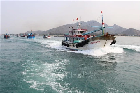 Ninh Thuan fights IUU fishing to boost sustainable maritime economy