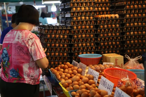 Thai economy faces stagflation due to surging price hikes: economist