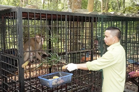 National parks in central provinces work to protect wildlife