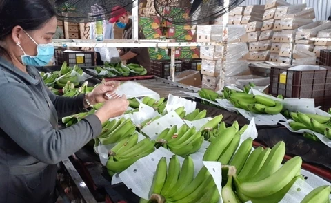Vietnam strives for export growth rate of 5-6 percent in 2021-30