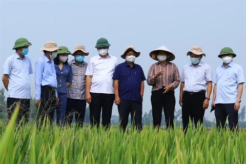 Hanoi bolsters value of farm produce for export
