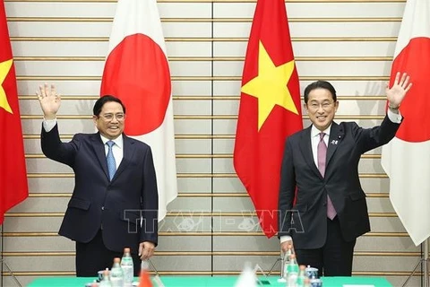 Vietnam-Japan relations growing robustly: expert 