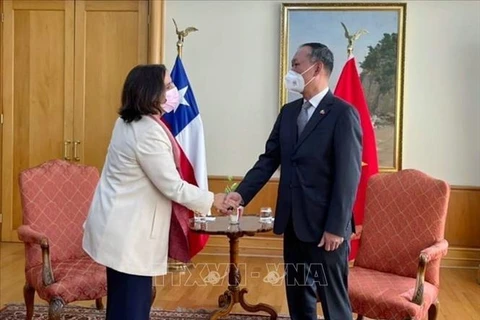 Vietnam - important partner of Chile in Southeast Asia: Chilean FM