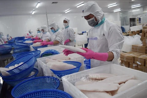 Vietnam yields 2.6 million tonnes of aquatic products in four months