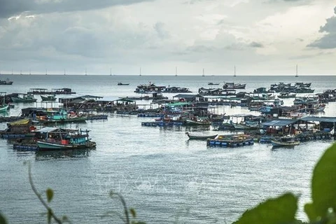“The blue economy scenarios for Vietnam” report launched