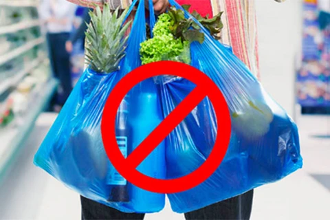 Vietnam to ban plastic bags from markets by 2030