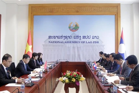 NA Committees for Foreign Affairs of Vietnam, Laos strengthen cooperation 