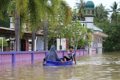 ASEAN strengthens resilience to disasters