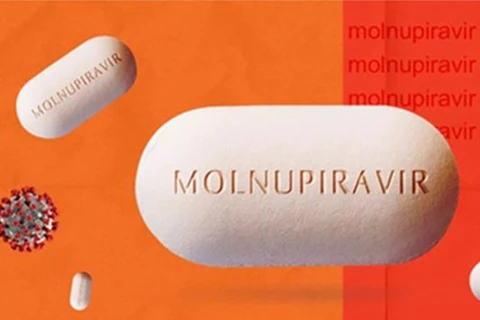 Another molnupiravir drug authorised for use in COVID-19 treatment