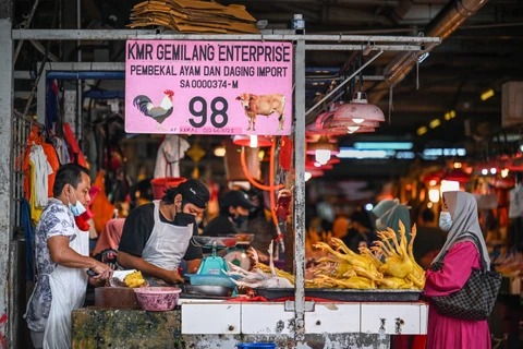 Malaysia halts chicken exports from June 1