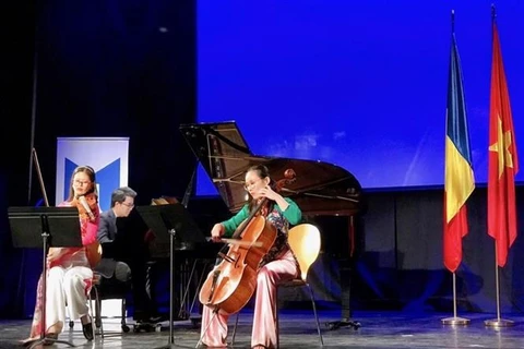 Embassy holds Vietnam-Romania friendship concert in Bucharest