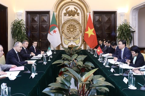 Vietnam, Algeria agree on measures to foster cooperation