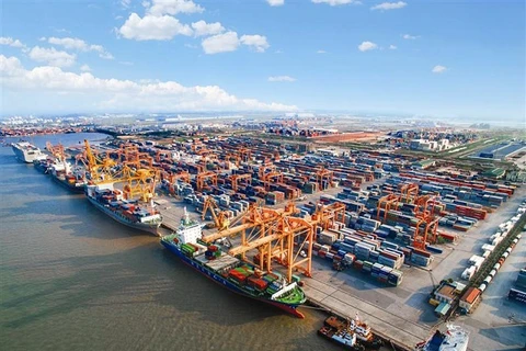 More room to develop Vietnam's international shipping fleet