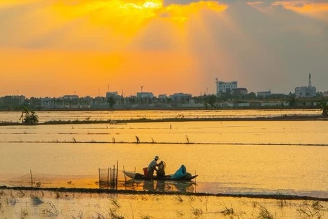 Fulbright University helps improve natural capital management in Mekong Delta 