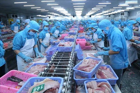 Updated edition of Vietnamese seafood company map to be released