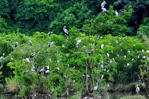 Ecological recovery, biodiversity protection solutions sought