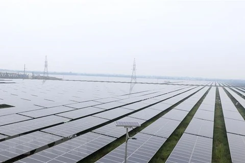 Vietnam leads transition to clean energy in Southeast Asia