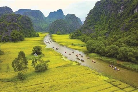Ninh Binh protects biodiversity for sustainable future