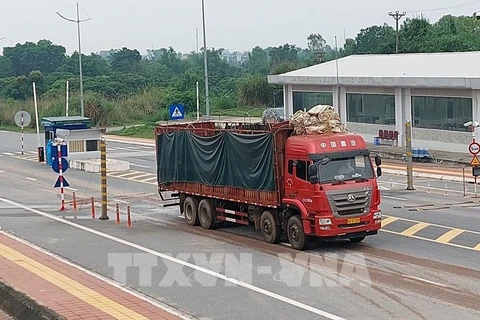 Quang Ninh: Over 45,300 tonnes of cargo cleared after reopening of two border checkpoints