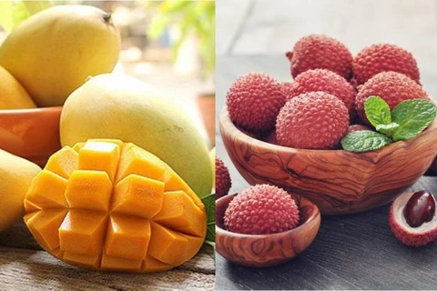 Good signals for Vietnamese fruit exports
