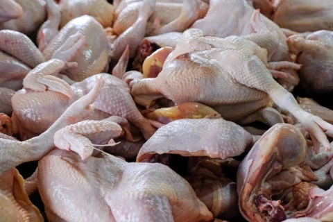 Malaysia partially lifts chicken export ban