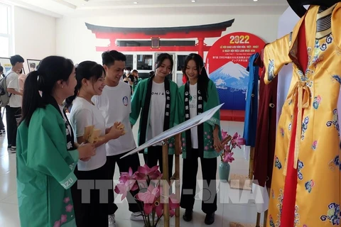 Over 4,000 people join Vietnam-Japan Cultural Exchange Festival in Da Nang