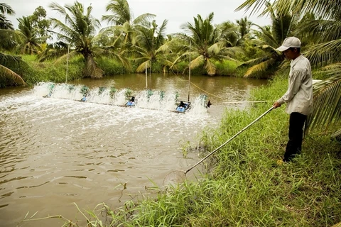 Ben Tre province works towards sustainable agriculture