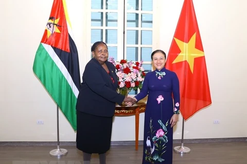 VUFO President suggests Vietnam, Mozambique maximise strengths to deepen friendship