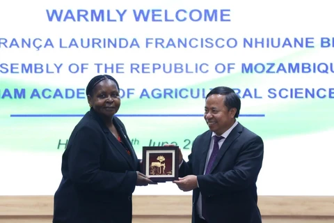 Mozambican guest visits Vietnam Academy of Agricultural Sciences 