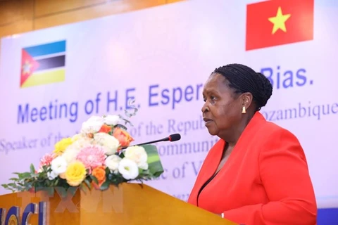 Mozambique – gateway for Vietnamese firms to access Southern Africa