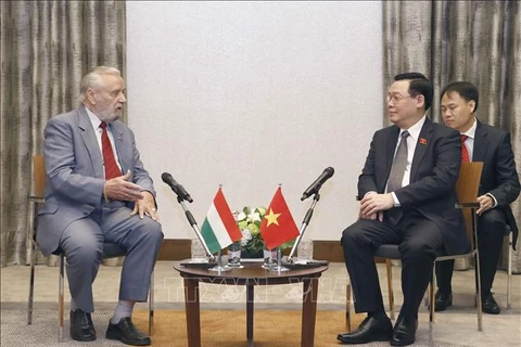 NA Chairman receives Hungary-Vietnam Friendship Association's leaders