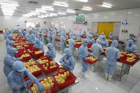 Vietnam’s exports to Hungary on the rise