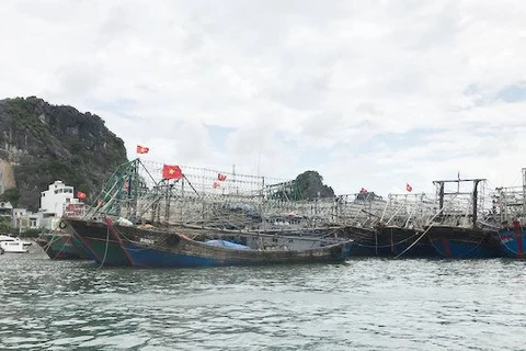  Quang Ninh makes progress in removing EC fishing "yellow card"
