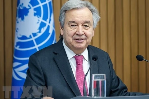 Stronger UN – OIF cooperation needed for SDGs realisation: Ambassador